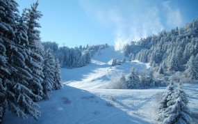 Обои Спуск с горы: Зима, Снег, Ели, Сноуборд, Лыжи, Спорт