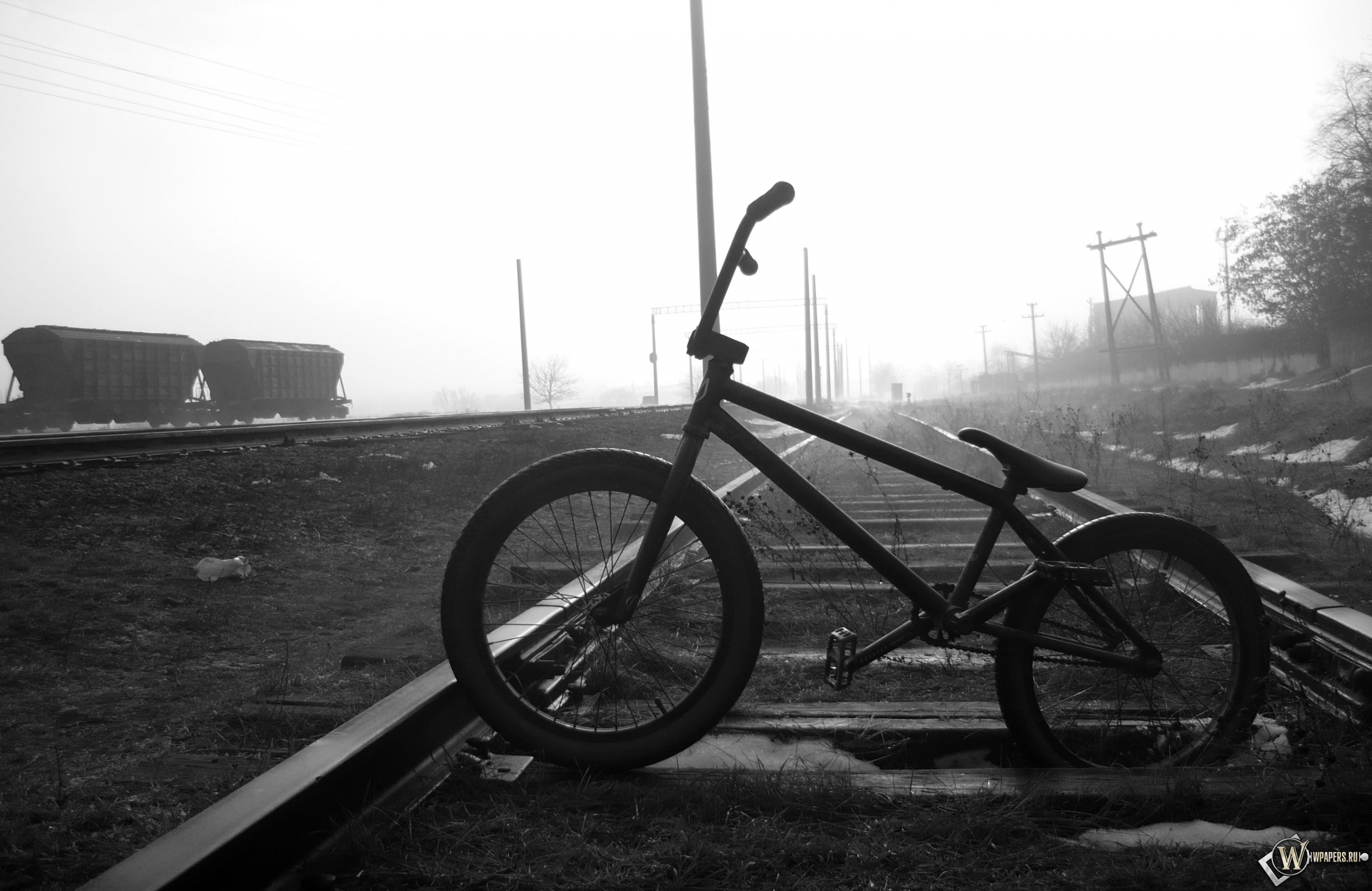 BMX  3024x1964