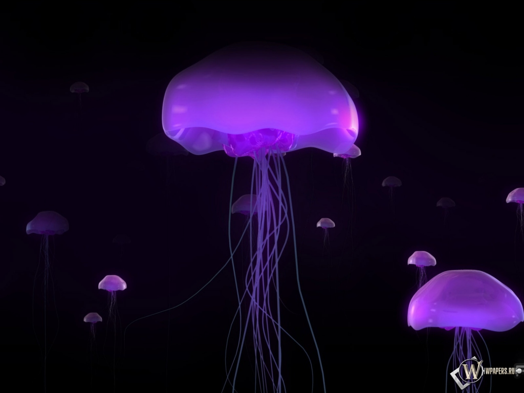 Фиолетовые медузы 1024x768