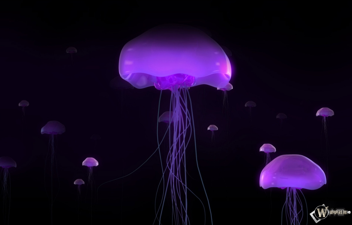 Фиолетовые медузы 1200x768