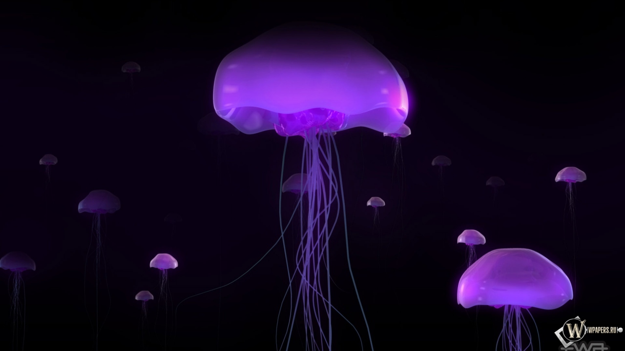 Фиолетовые медузы 1280x720