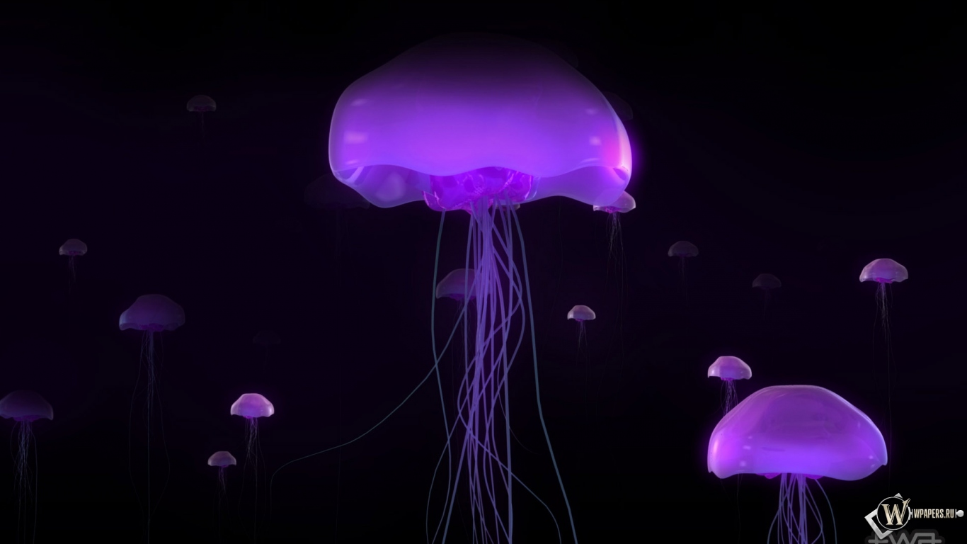 Фиолетовые медузы 1366x768