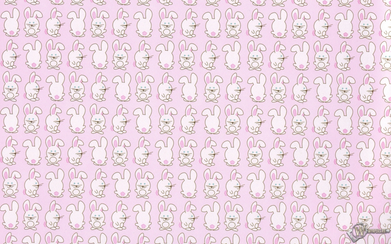 Кролики 1280x800