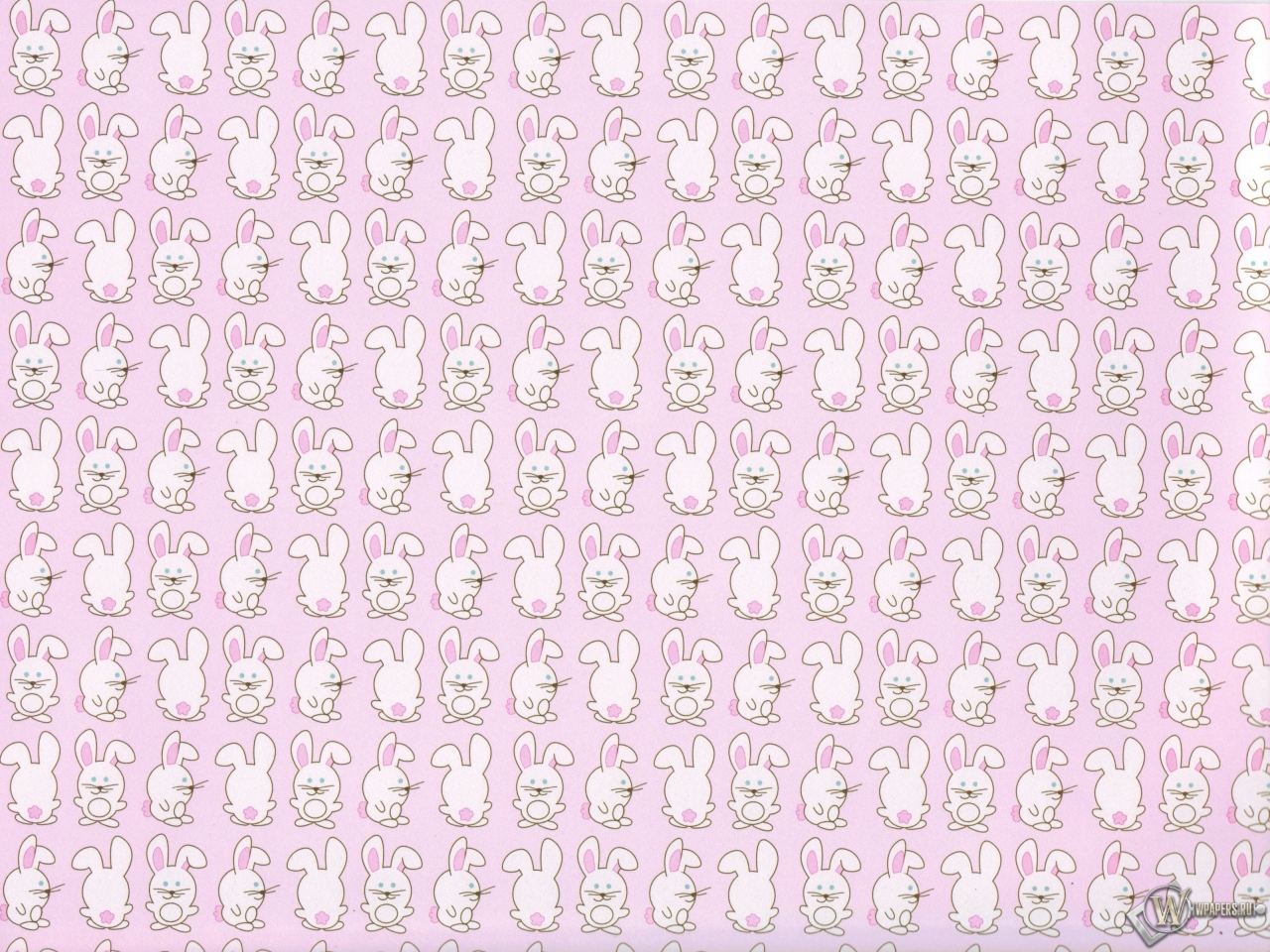 Кролики 1280x960