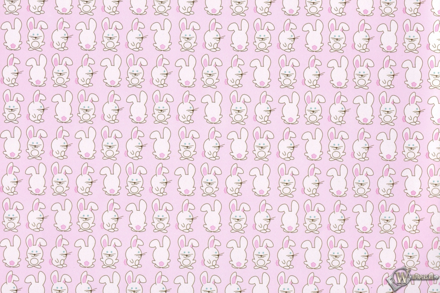 Кролики 1500x1000