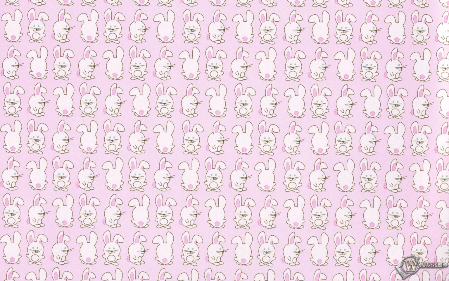 Кролики 1536x960