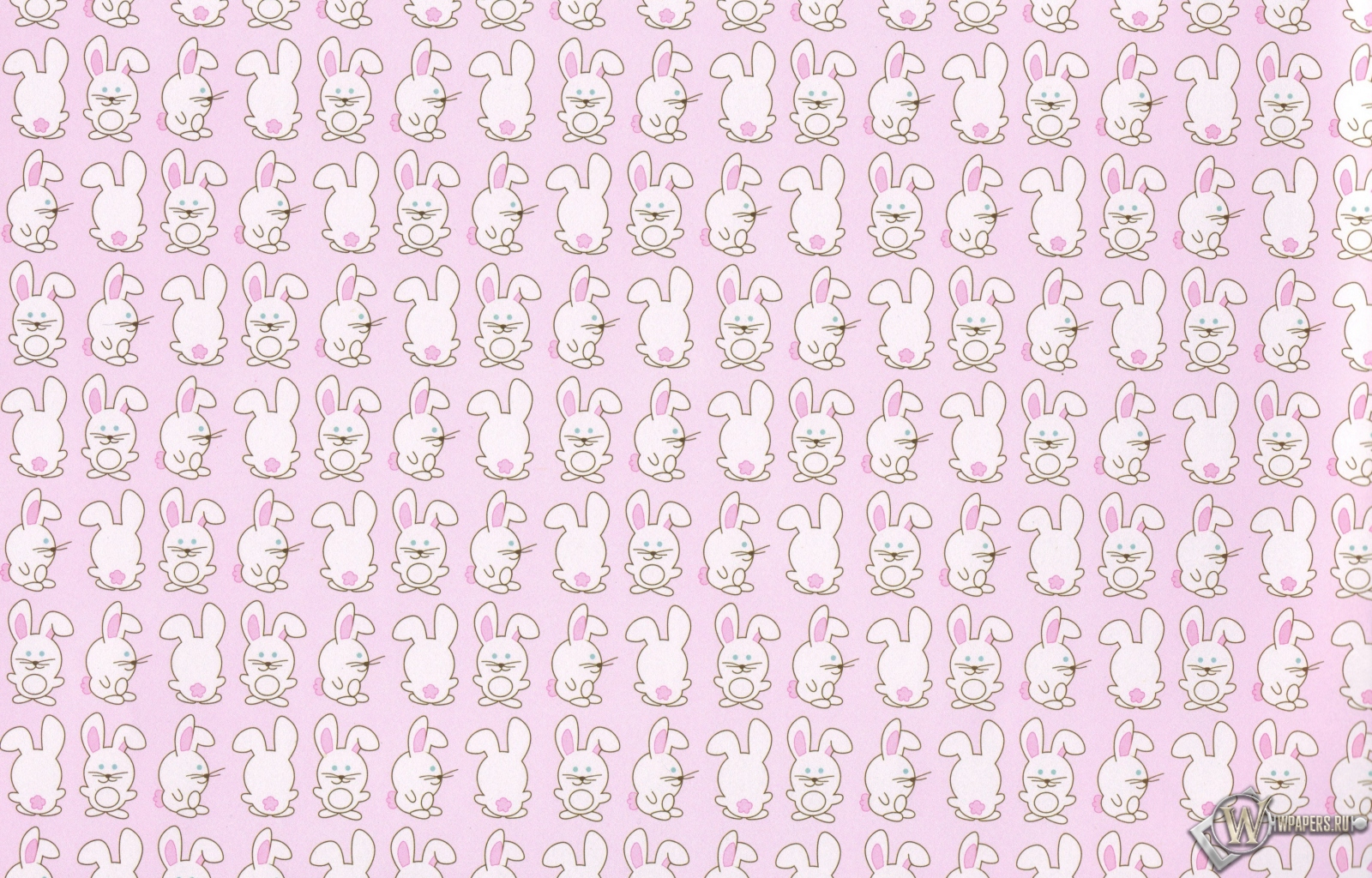 Кролики 1600x1024