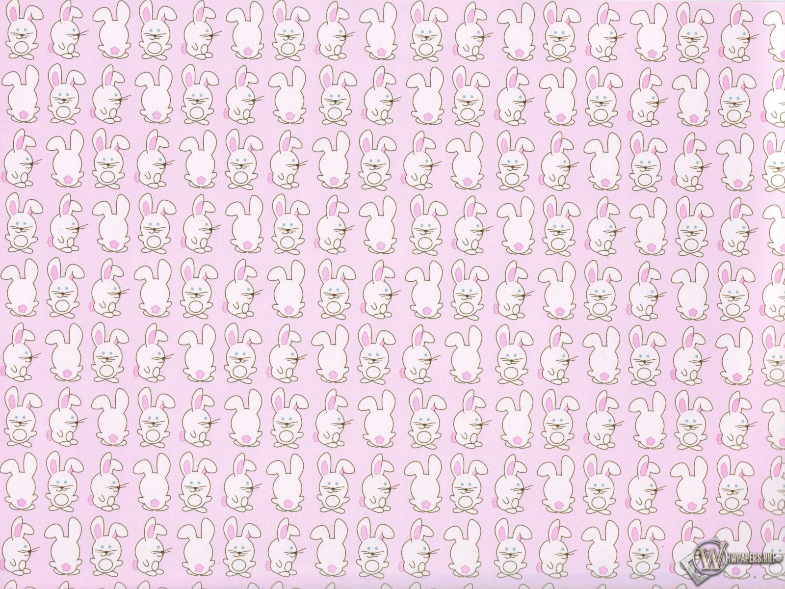 Кролики 1600x1200