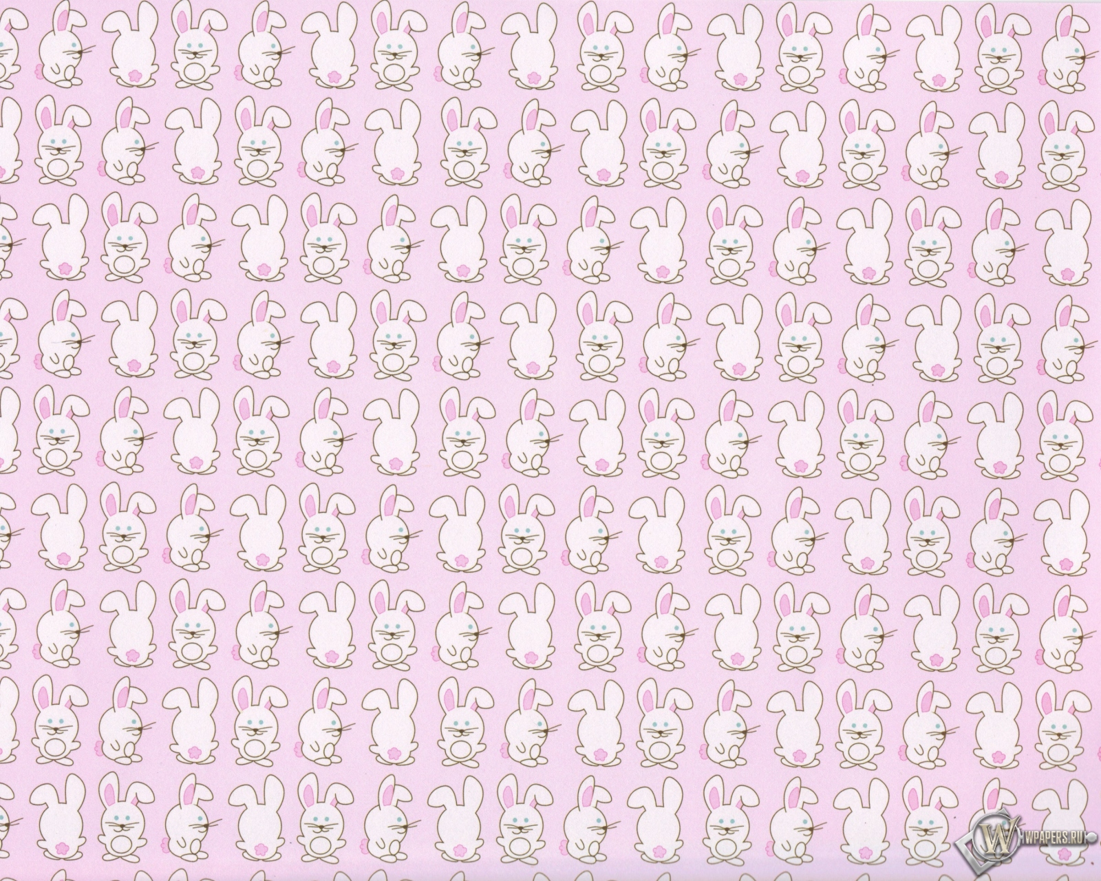 Кролики 1600x1280