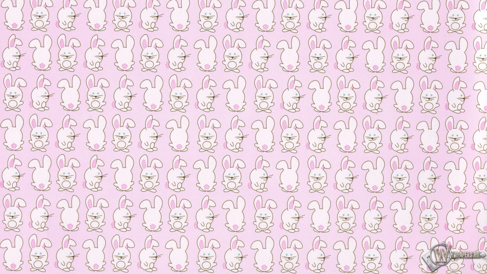 Кролики 1600x900