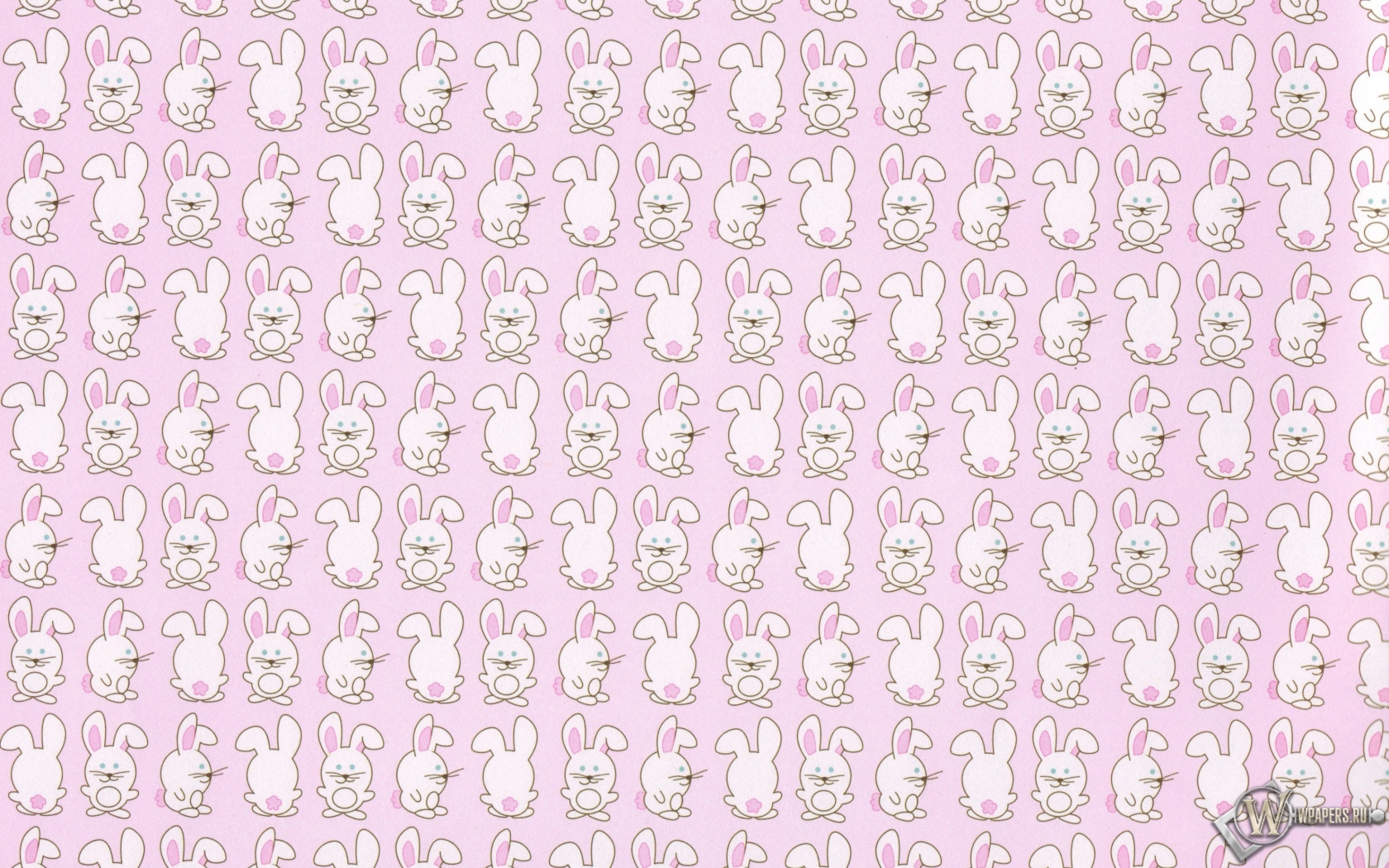 Кролики 1680x1050