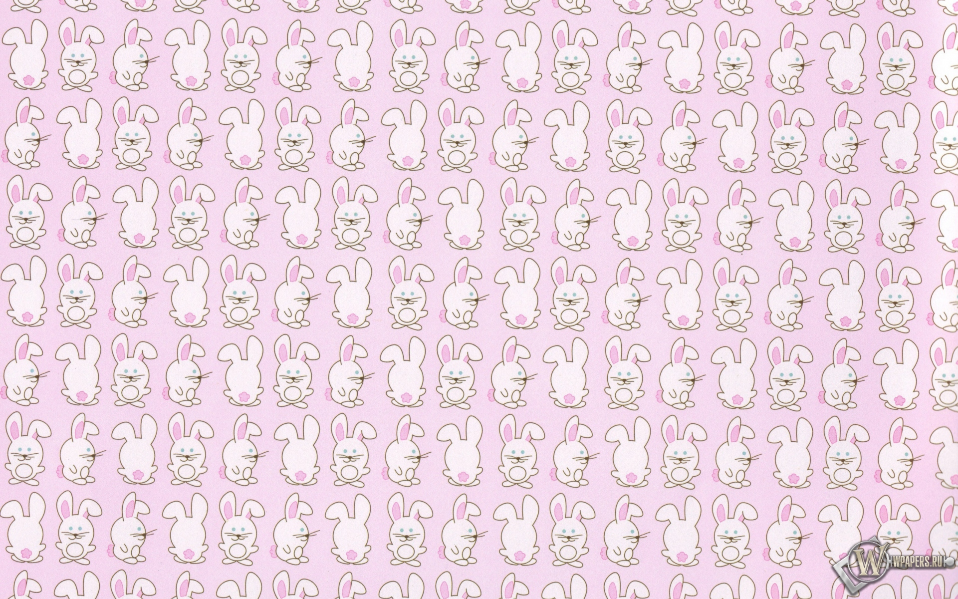 Кролики 1920x1200