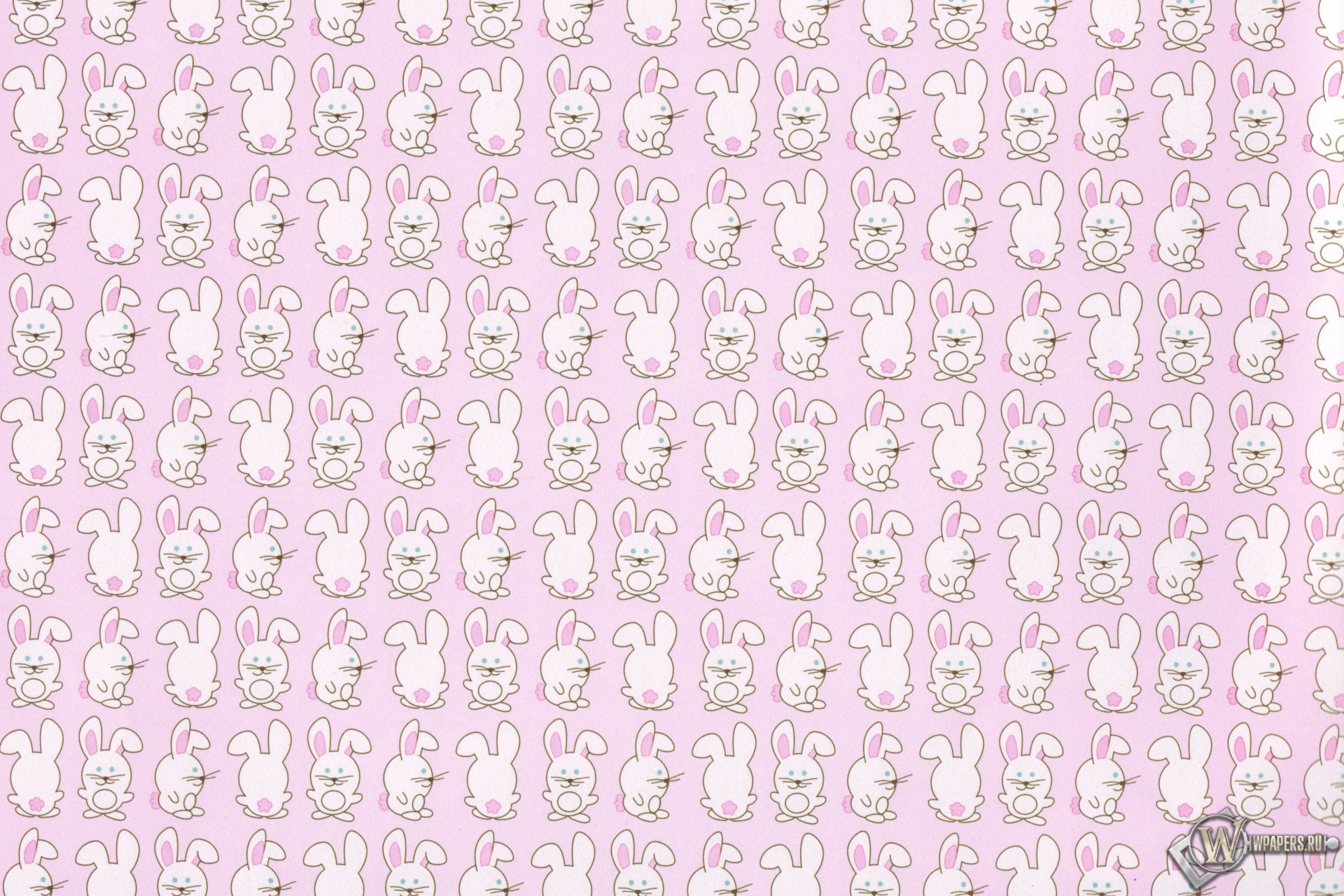 Кролики 1920x1280