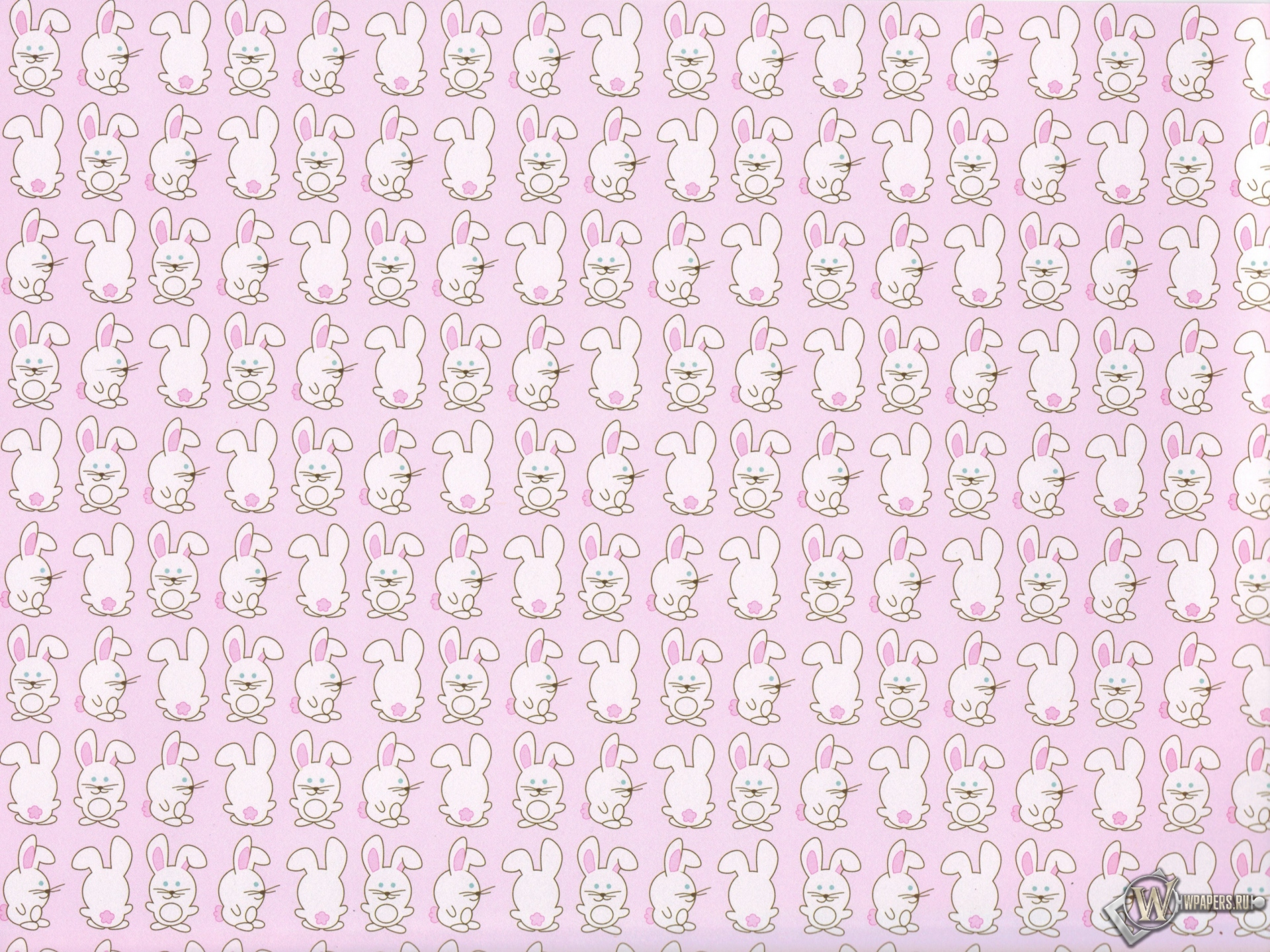 Кролики 1920x1440