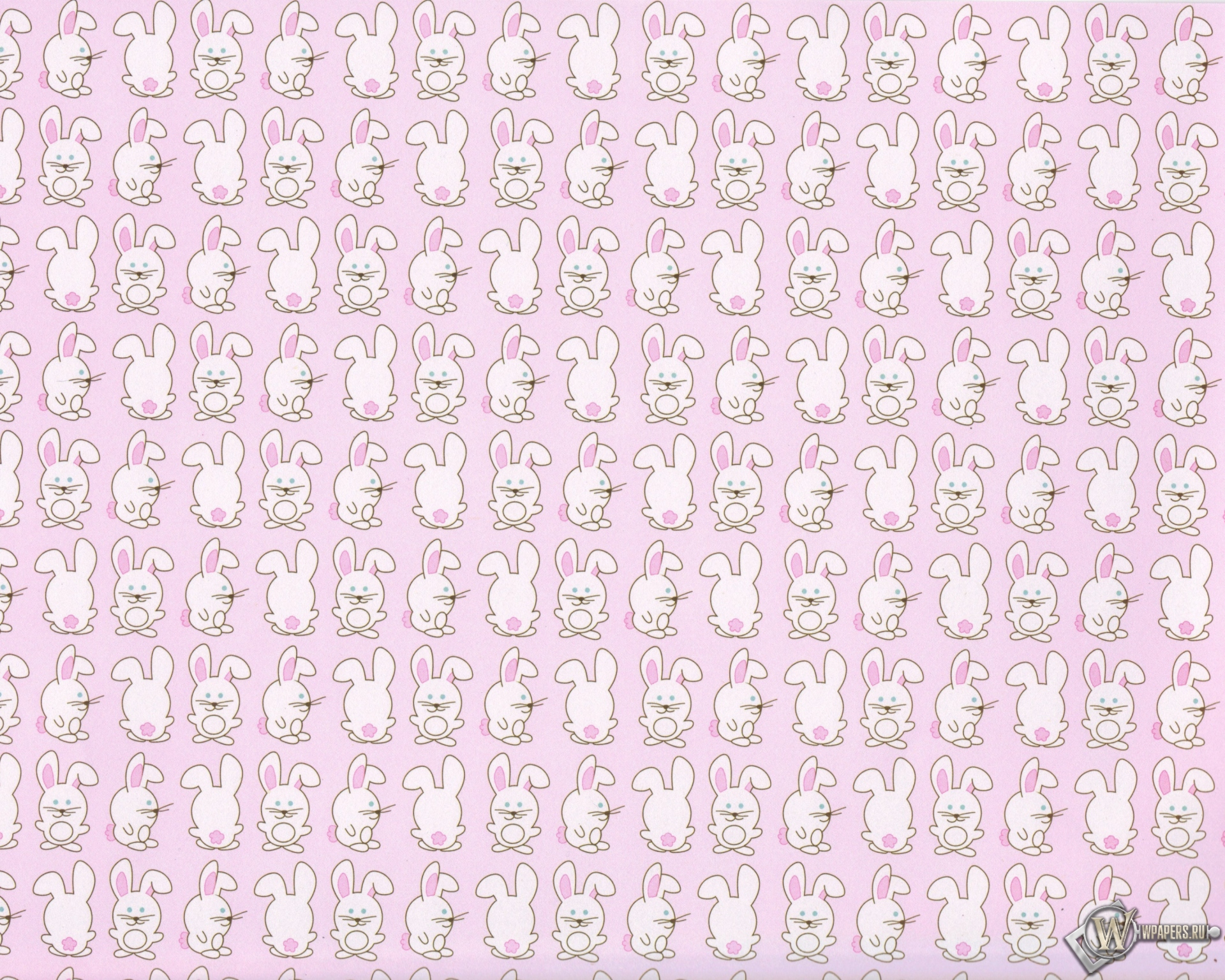 Кролики 1920x1536