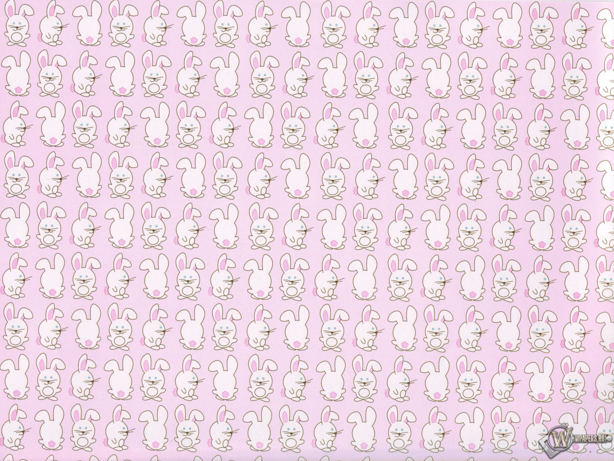 Кролики 2048x1536