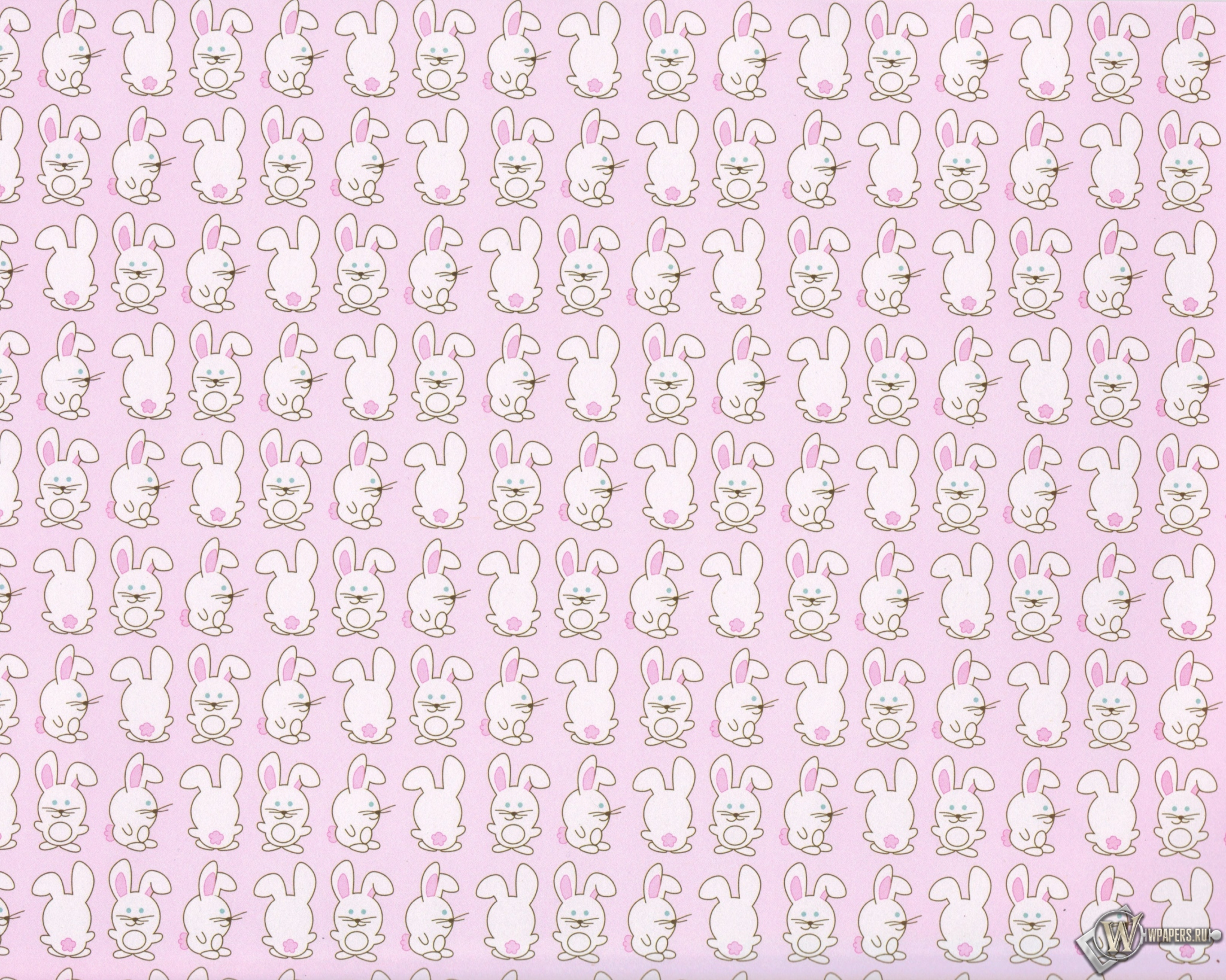 Кролики 2048x1638