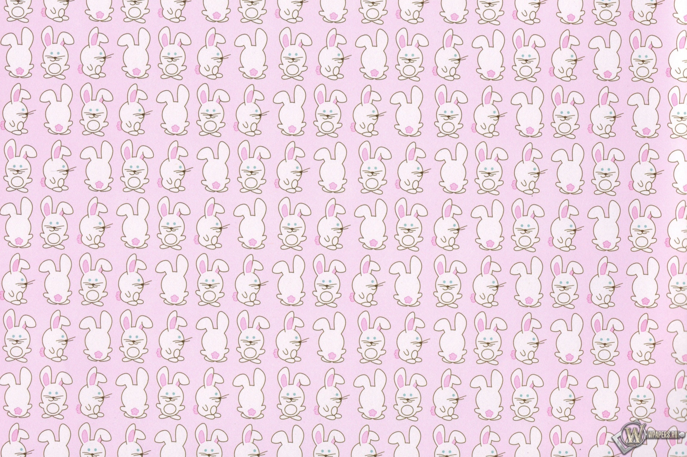 Кролики 2300x1530