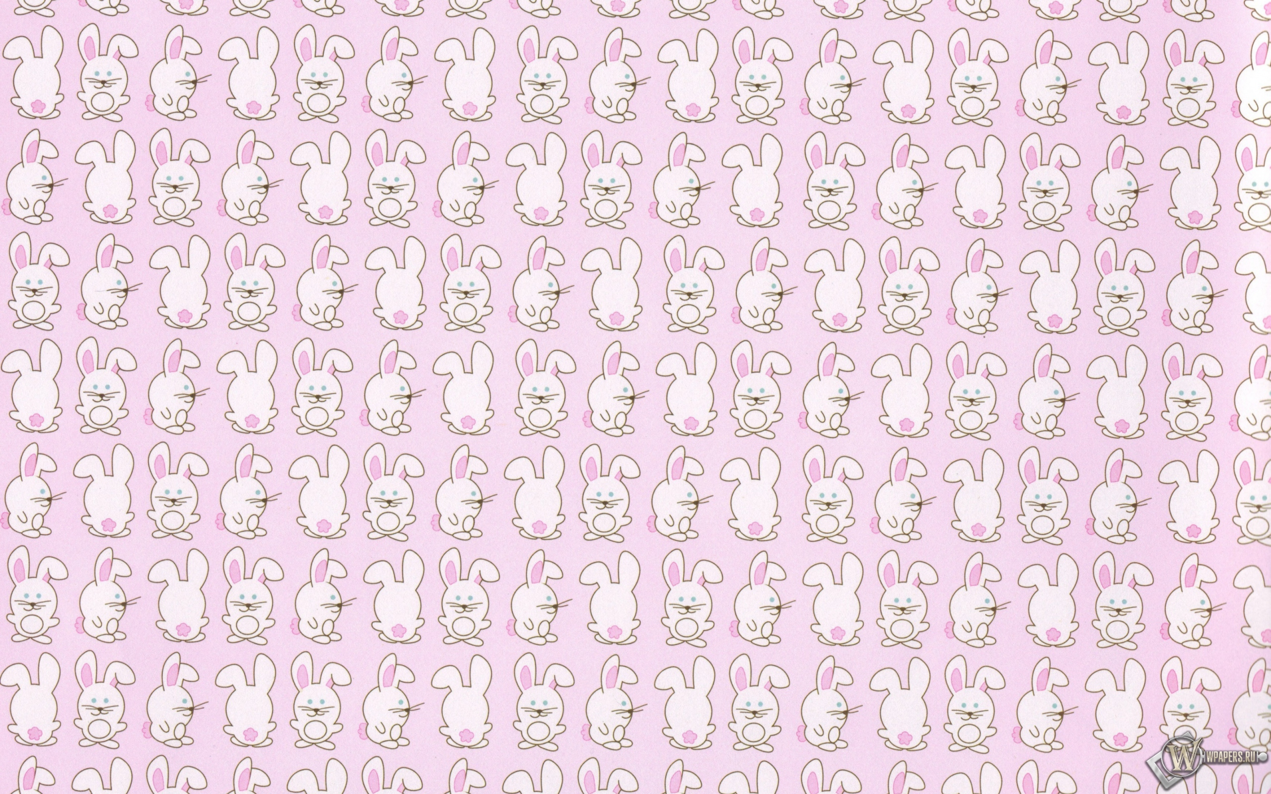 Кролики 2560x1600