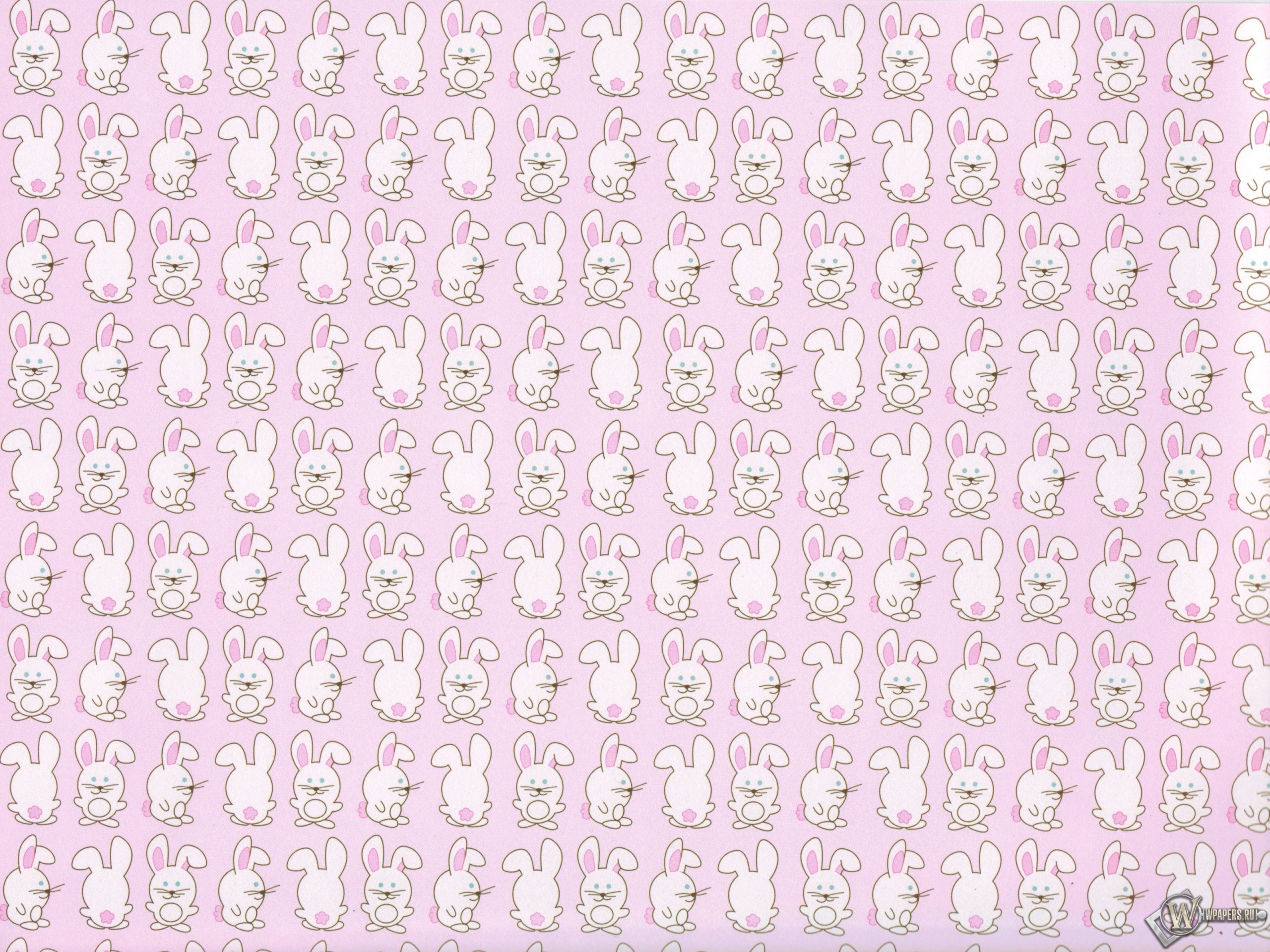 Кролики 2560x1920