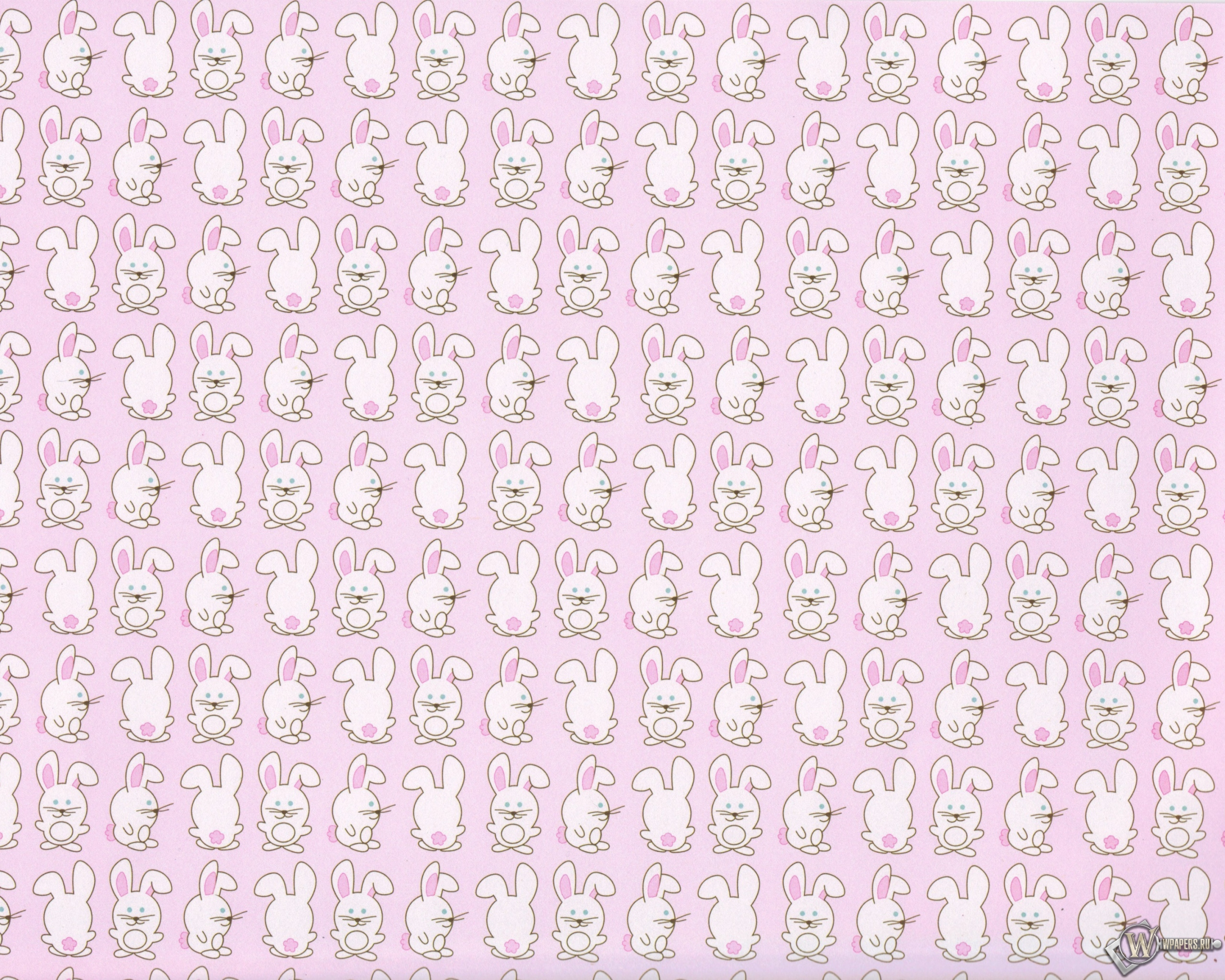 Кролики 2560x2048