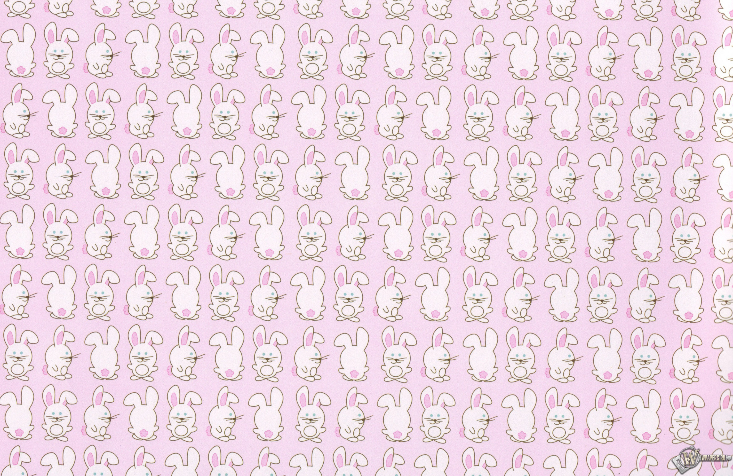 Кролики 3024x1964