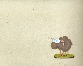 Обои Овечка: Овца, Животное, Животные