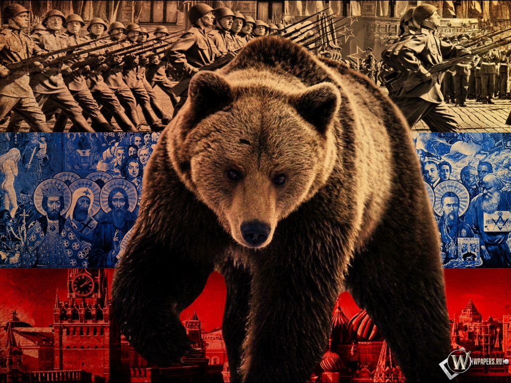 Русский медведь 1024x768
