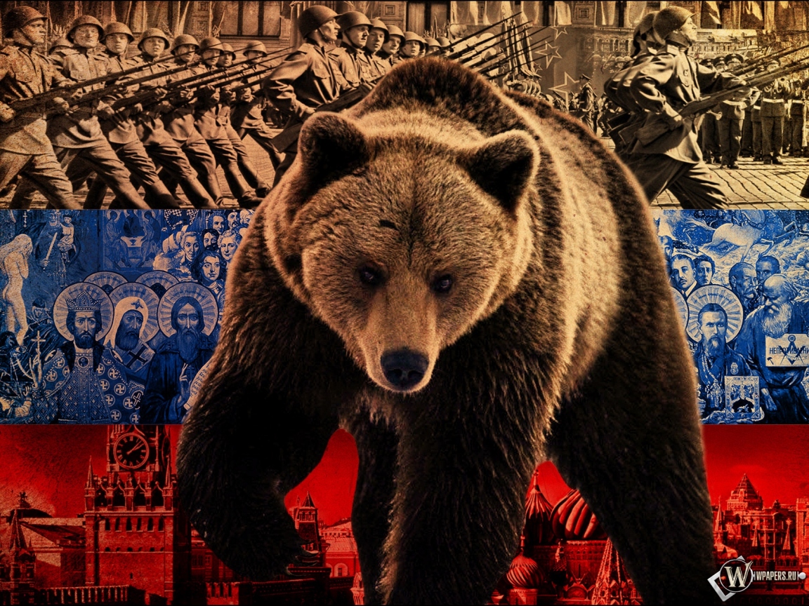 Русский медведь 1152x864