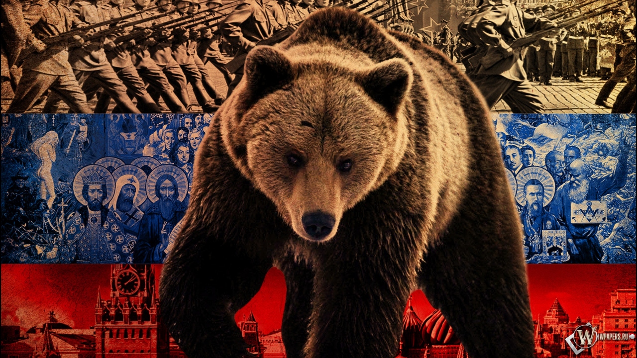 Русский медведь 1280x720