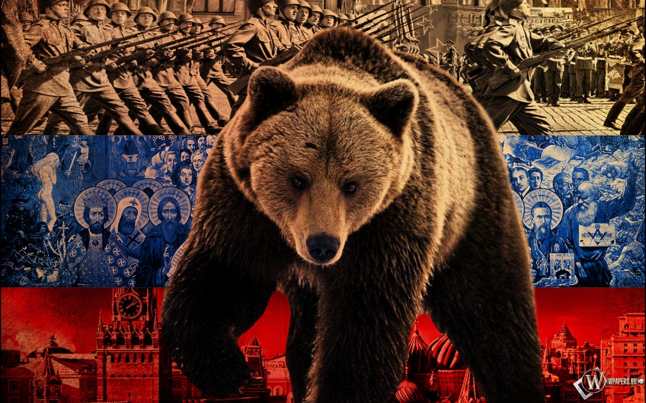 Русский медведь 1280x800