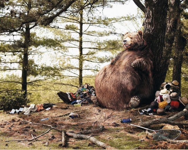 Медведь и туристы картинка