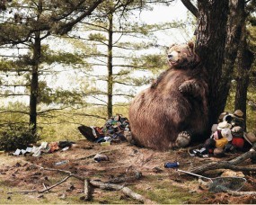 Обои Медведь съел туристов: Медведь, Юмор, Одежда, Живот, Туристы, Медведи