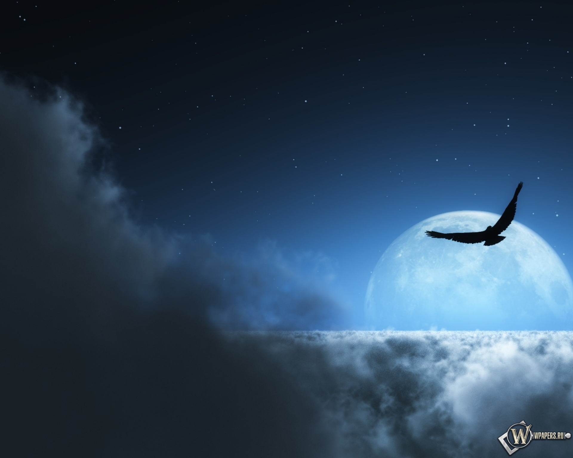В глубине неба луна. Птица в ночном небе. Красивое небо с луной. Обои ночь. Птицы в небе ночью.