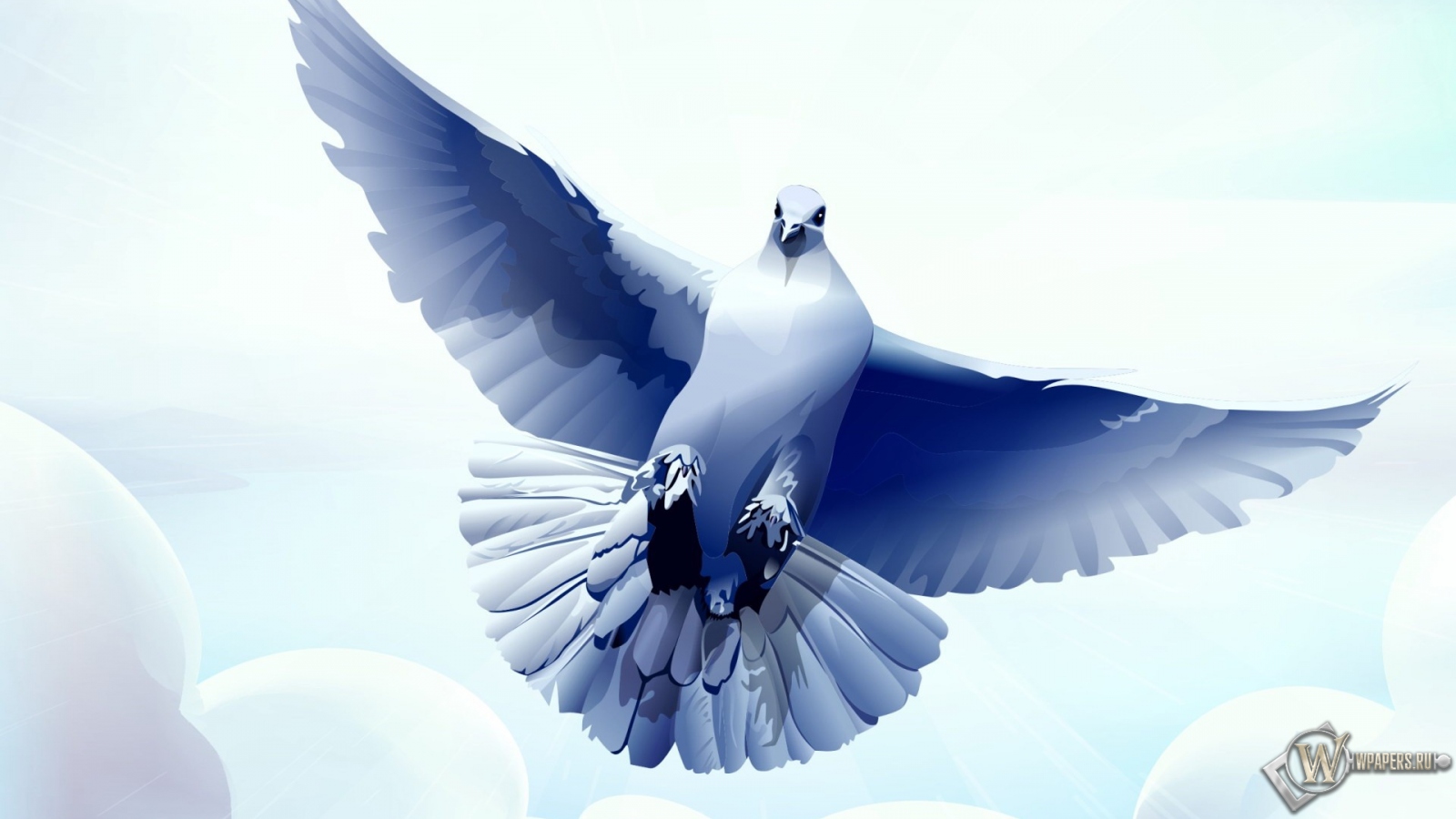 Рисованный голубь 1600x900