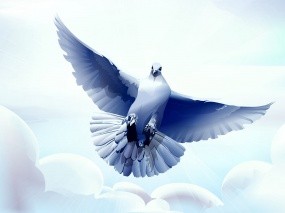 Обои Рисованный голубь: Облака, Птица, Вектор, Голубь, Птицы