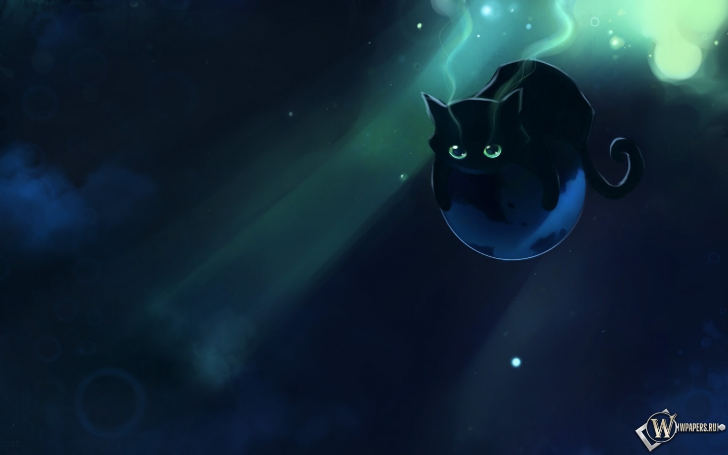 Чёрный котенок 1440x900