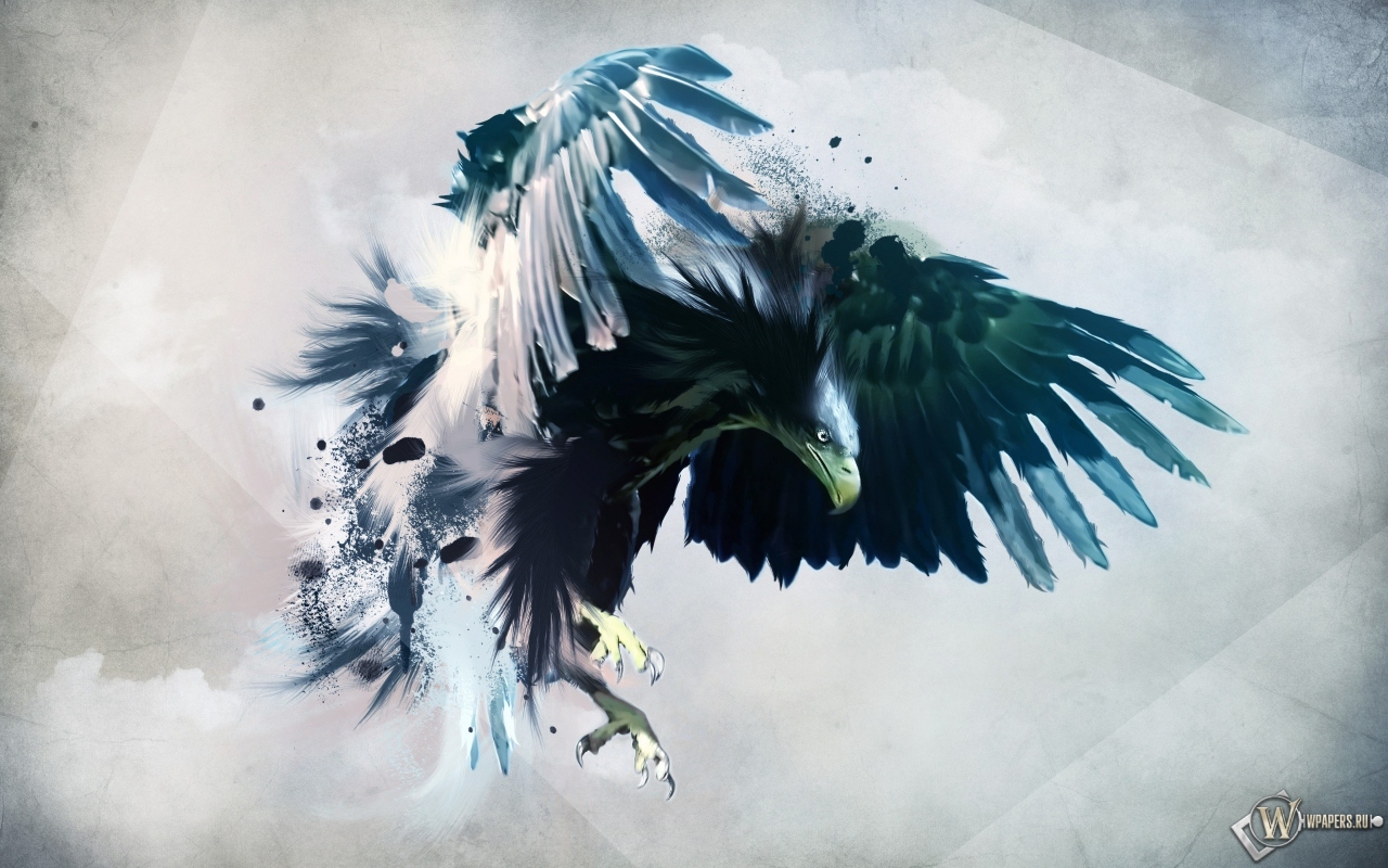 Artistic eagle 1280x800