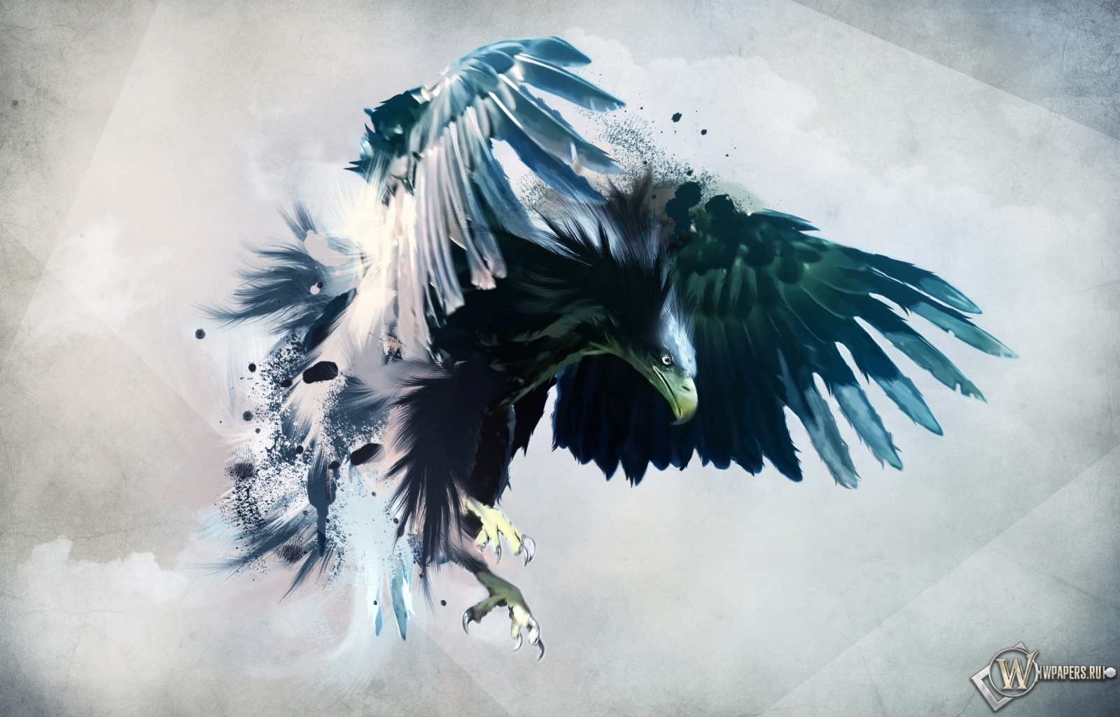 Artistic eagle 1600x1024