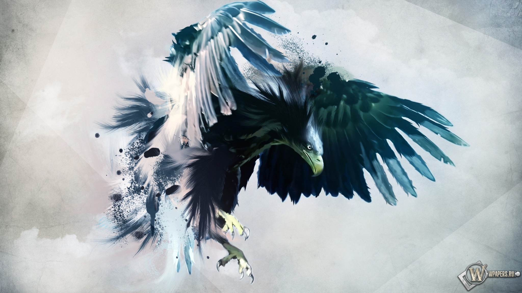 Artistic eagle 2048x1152