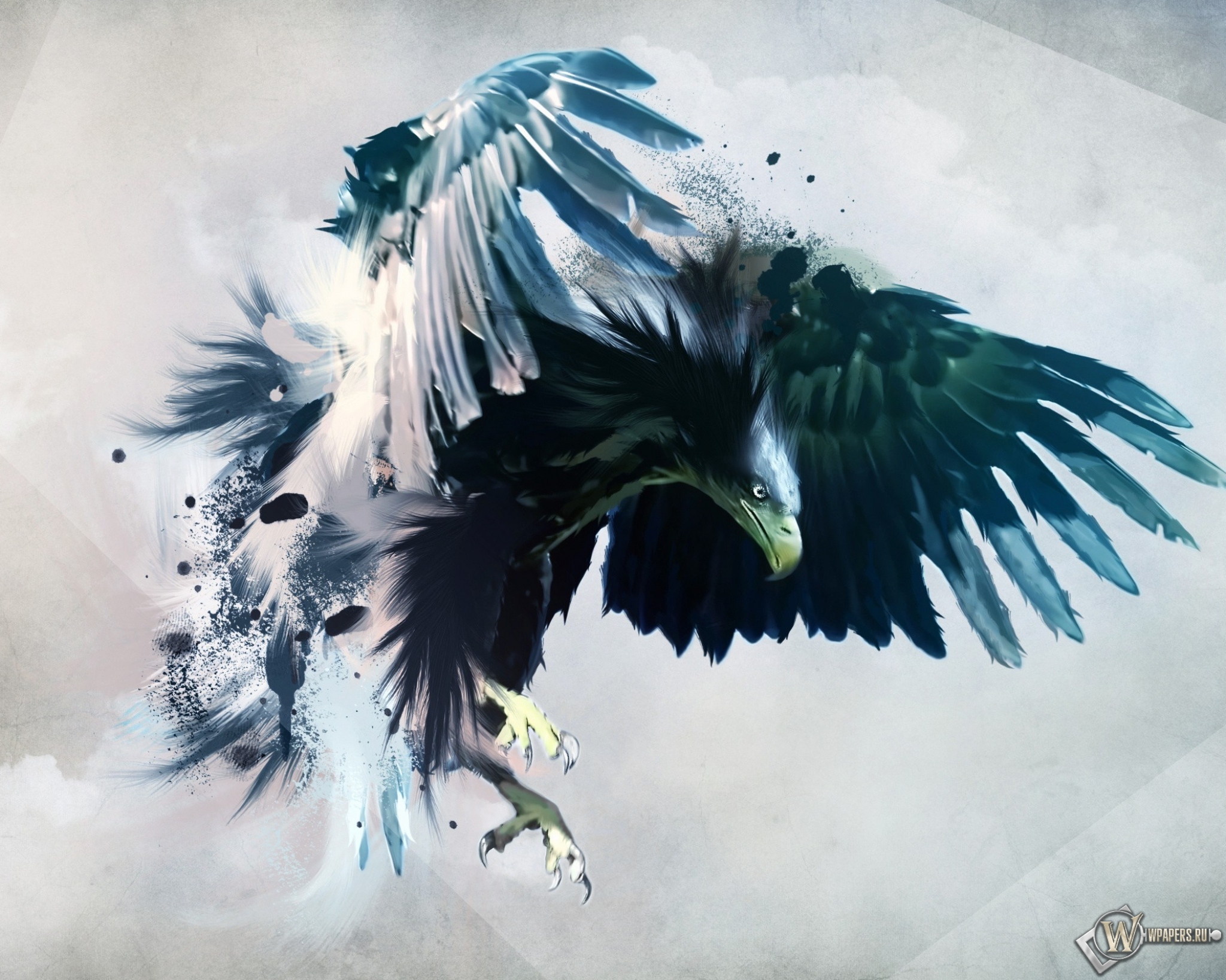 Artistic eagle 2048x1638