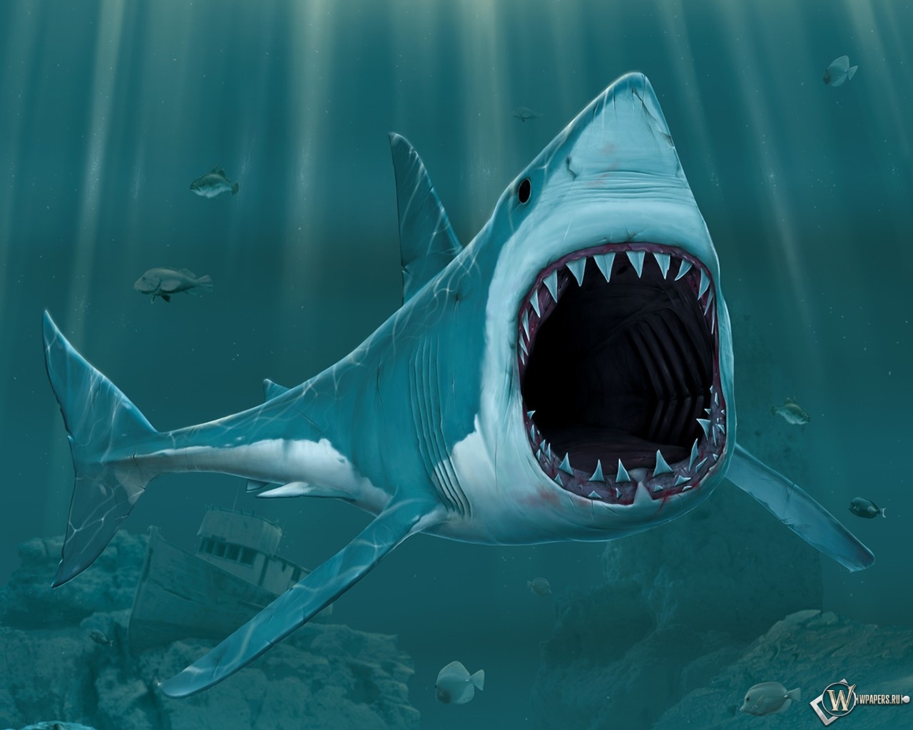 Рисованая акула 1280x1024