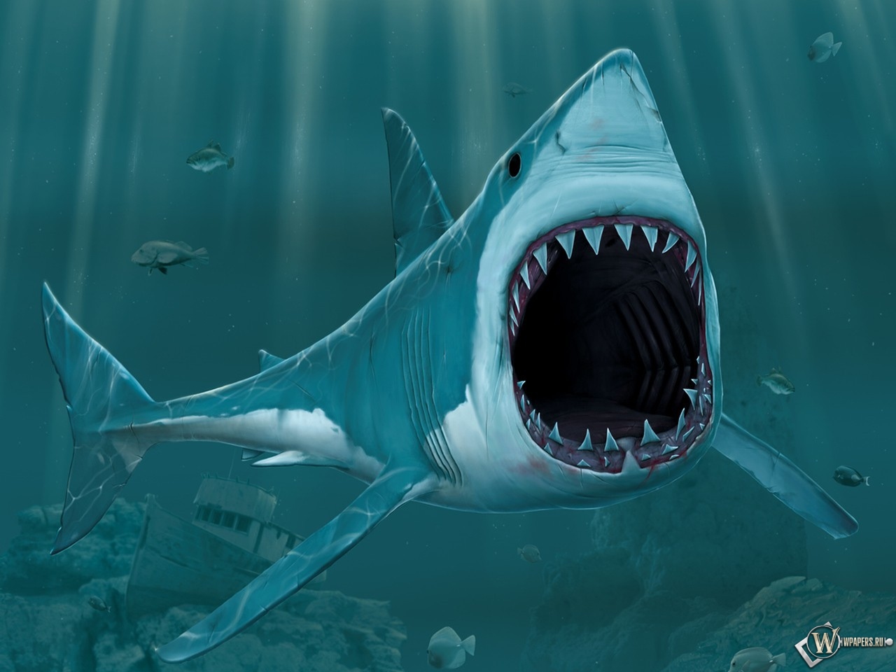 Рисованая акула 1280x960