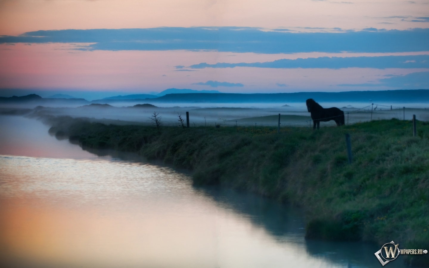 Лошадь в тумане 1440x900