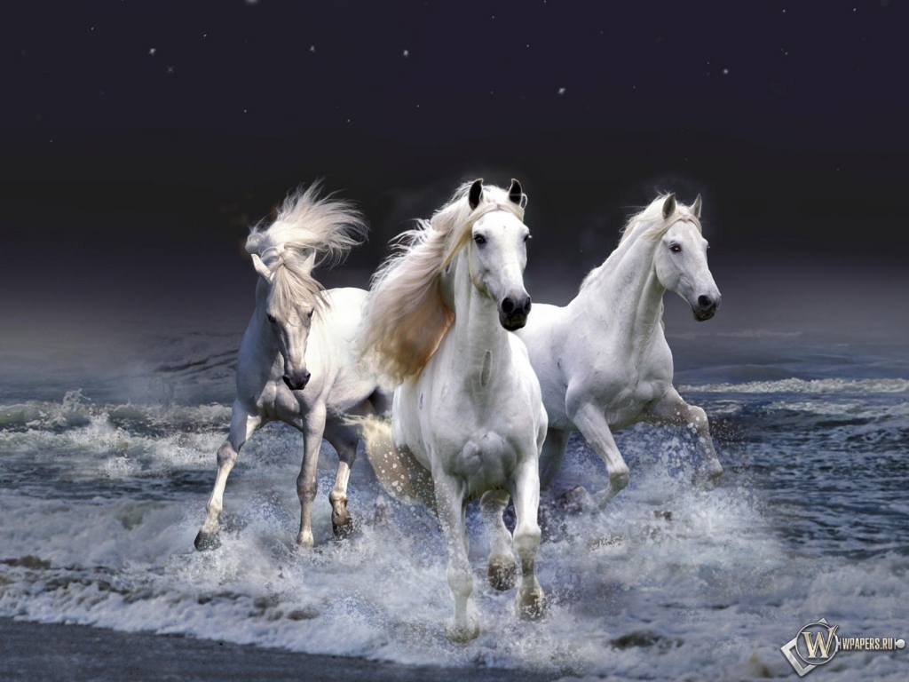 Белые лошади бегущие по волнам 1024x768