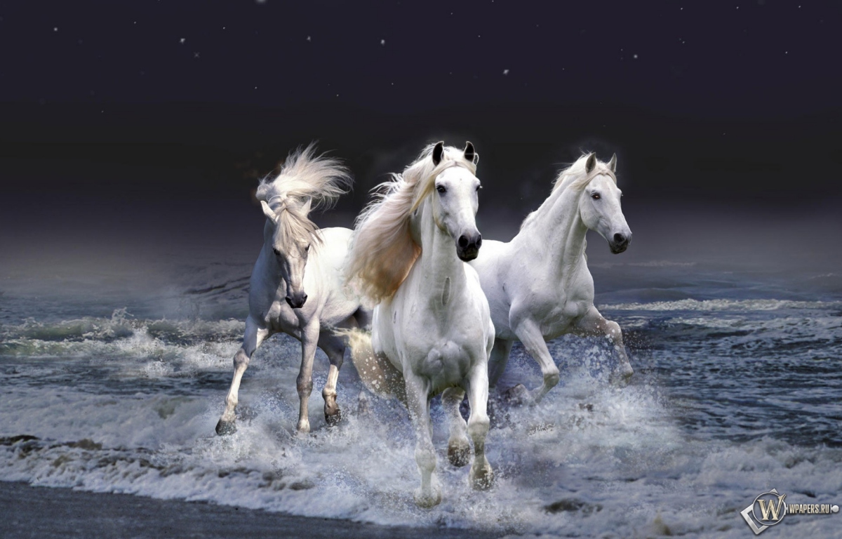 Белые лошади бегущие по волнам 1200x768