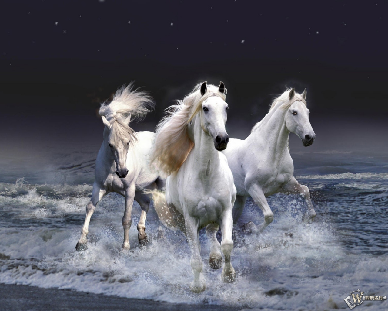 Белые лошади бегущие по волнам 1280x1024