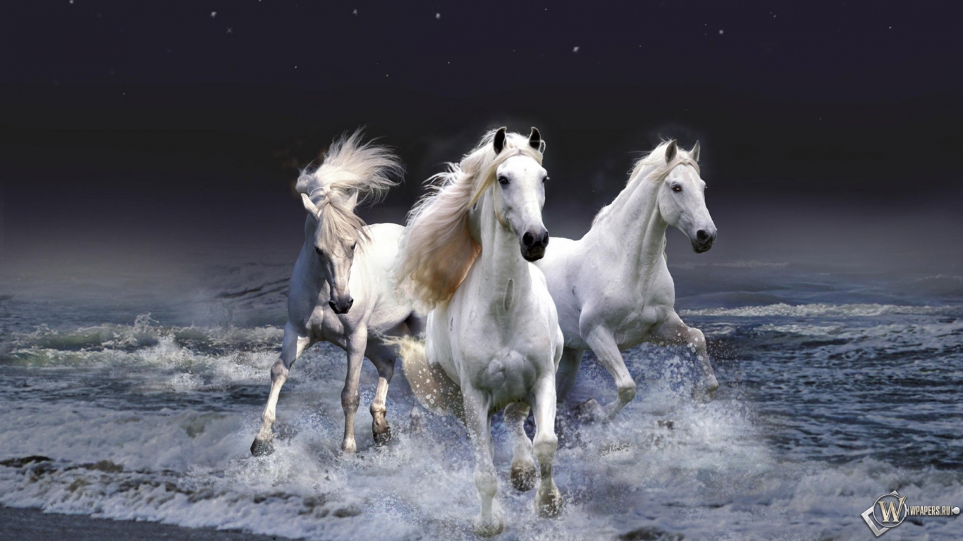 Белые лошади бегущие по волнам 1366x768