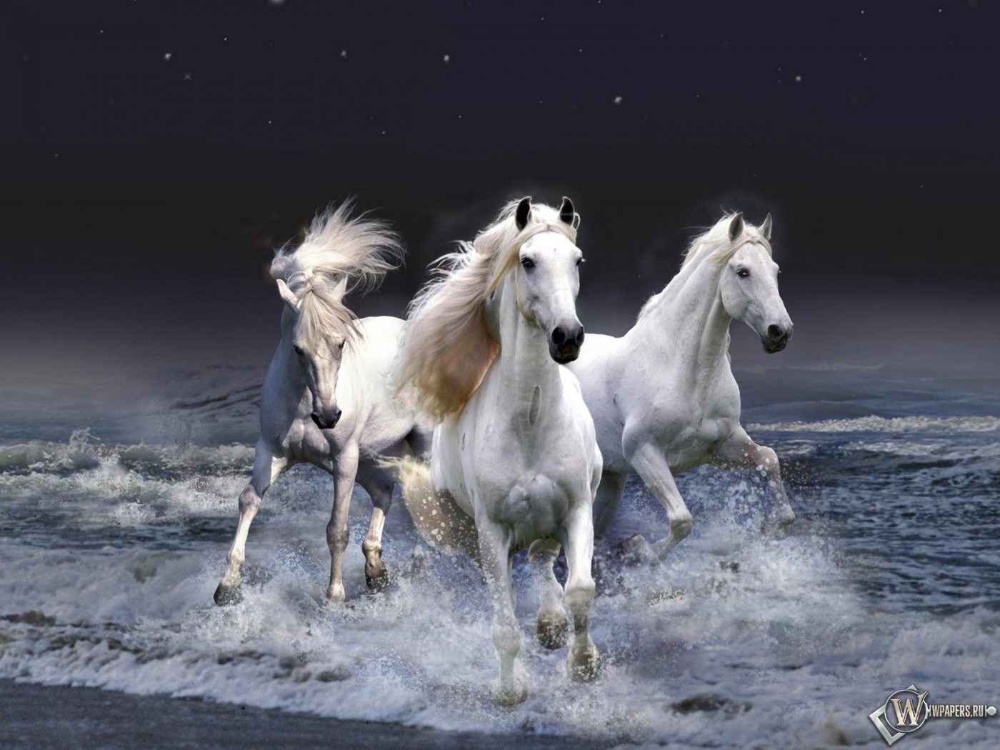 Белые лошади бегущие по волнам 1400x1050