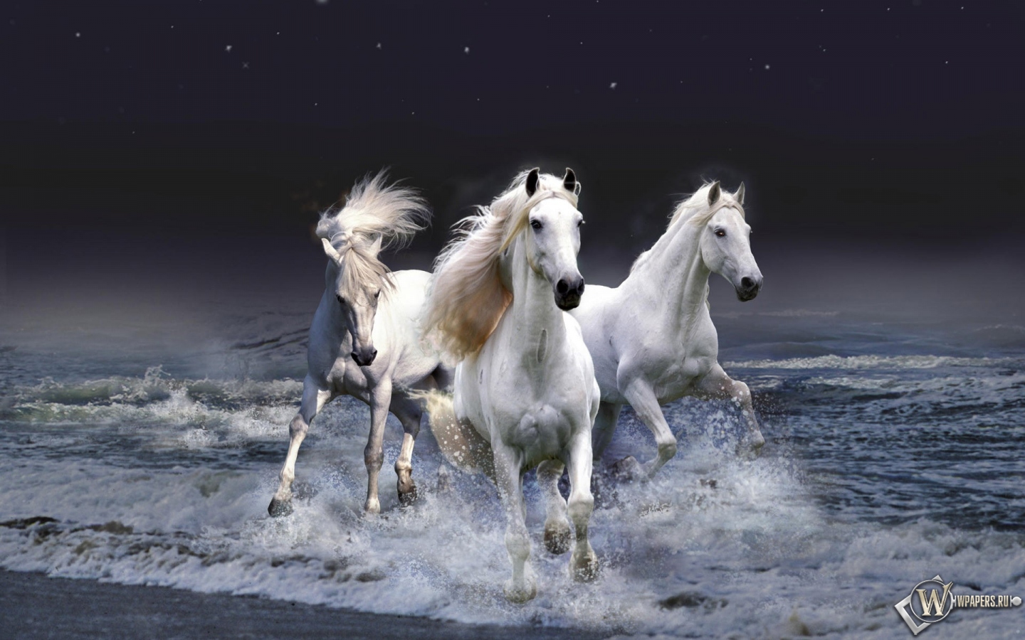 Белые лошади бегущие по волнам 1440x900